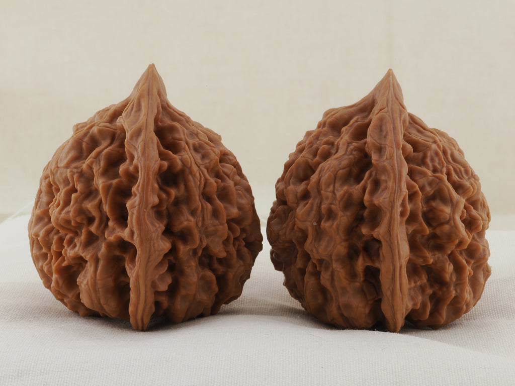 Official’s Hat walnut pair, 45 mm — WW-00007, view 4.