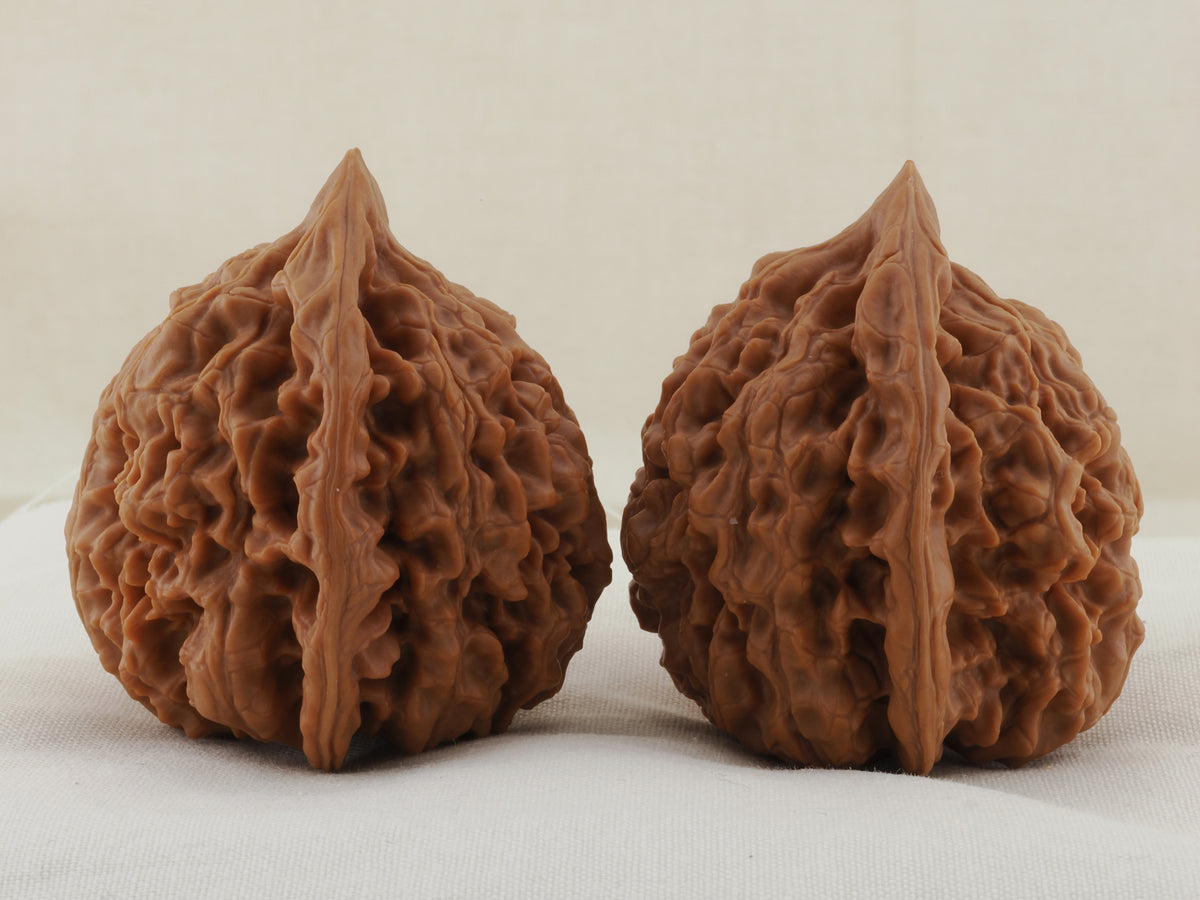 Official’s Hat walnut pair, 45 mm — WW-00007, view 4.