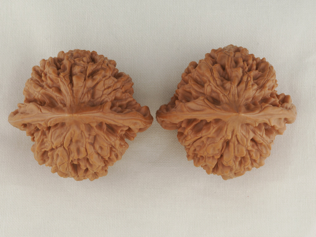 Official’s Hat walnut pair, 45 mm — WW-00007, view 5.