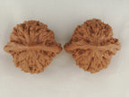 Official’s Hat walnut pair, 45 mm — WW-00007, view 5.