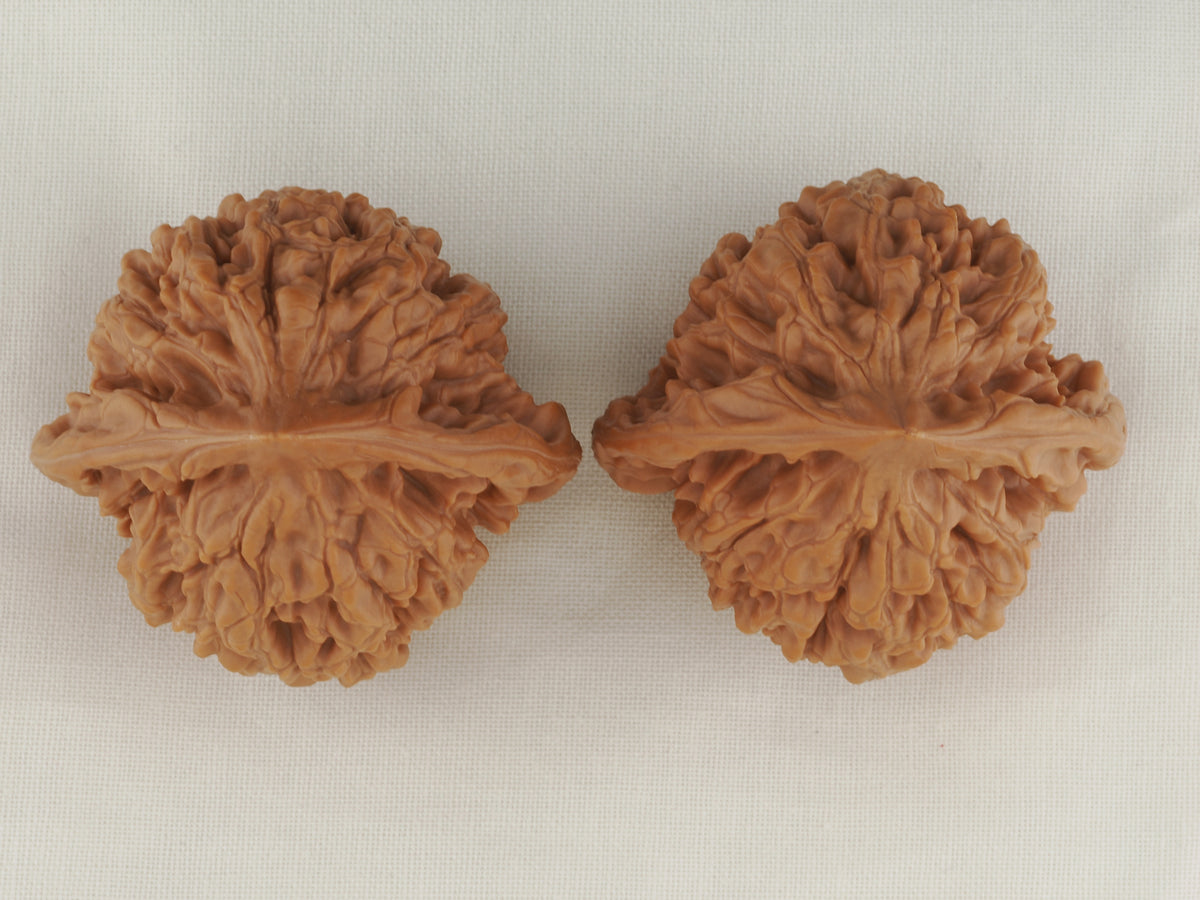 Official’s Hat walnut pair, 45 mm — WW-00007, view 5.