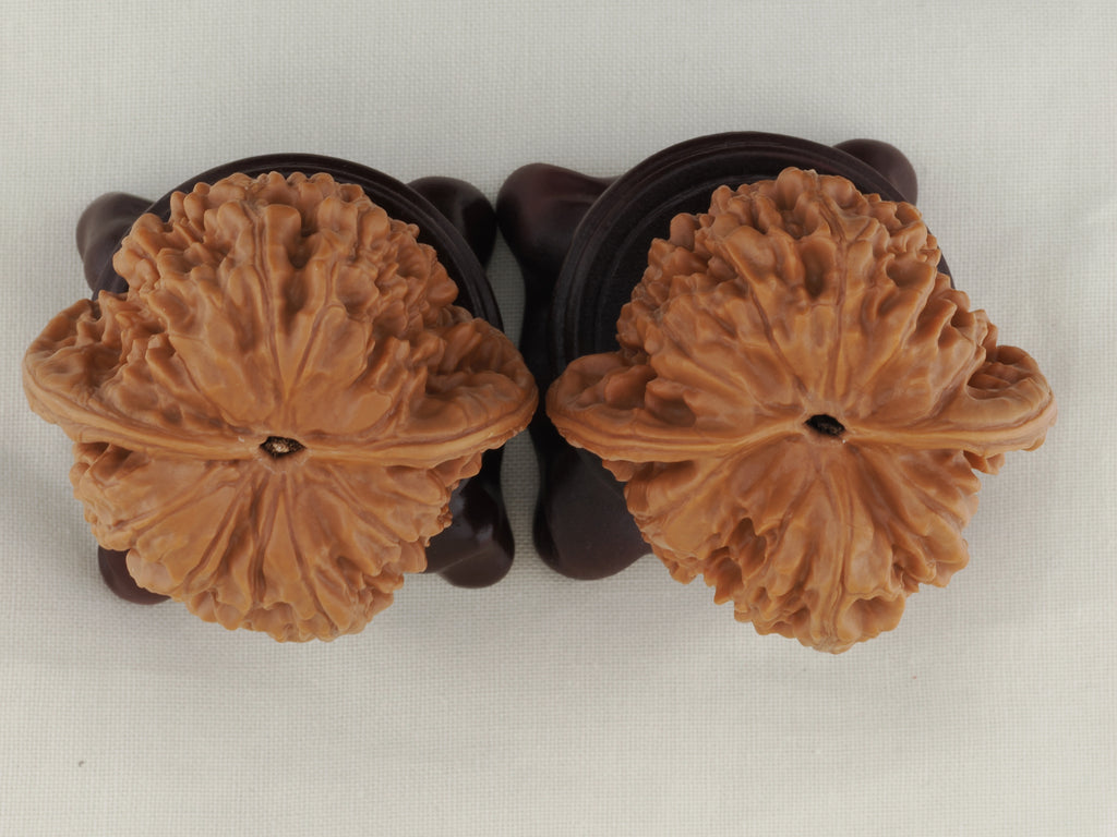 Official’s Hat walnut pair, 45 mm — WW-00007, view 6.