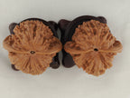 Official’s Hat walnut pair, 45 mm — WW-00007, view 6.