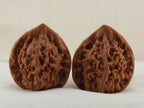 Official’s Hat walnut pair, 40 mm — WW-00008, hero view.