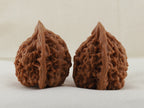 Official’s Hat walnut pair, 40 mm — WW-00008, view 2.