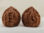 Official’s Hat walnut pair, 40 mm — WW-00008, view 3.