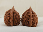 Official’s Hat walnut pair, 40 mm — WW-00008, view 4.