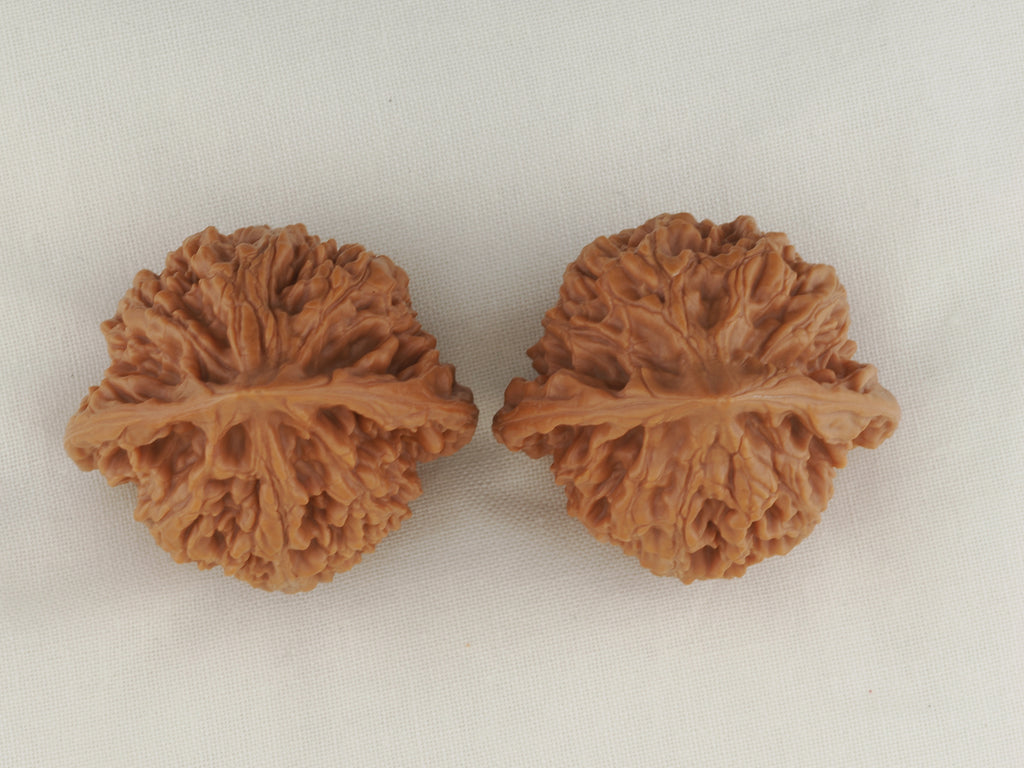 Official’s Hat walnut pair, 40 mm — WW-00008, view 5.