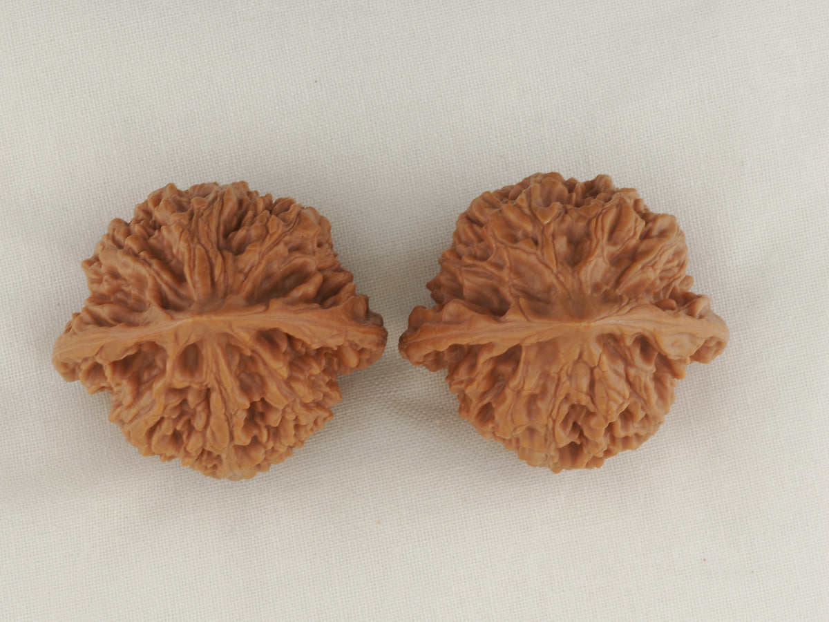 Official’s Hat walnut pair, 40 mm — WW-00008, view 5.