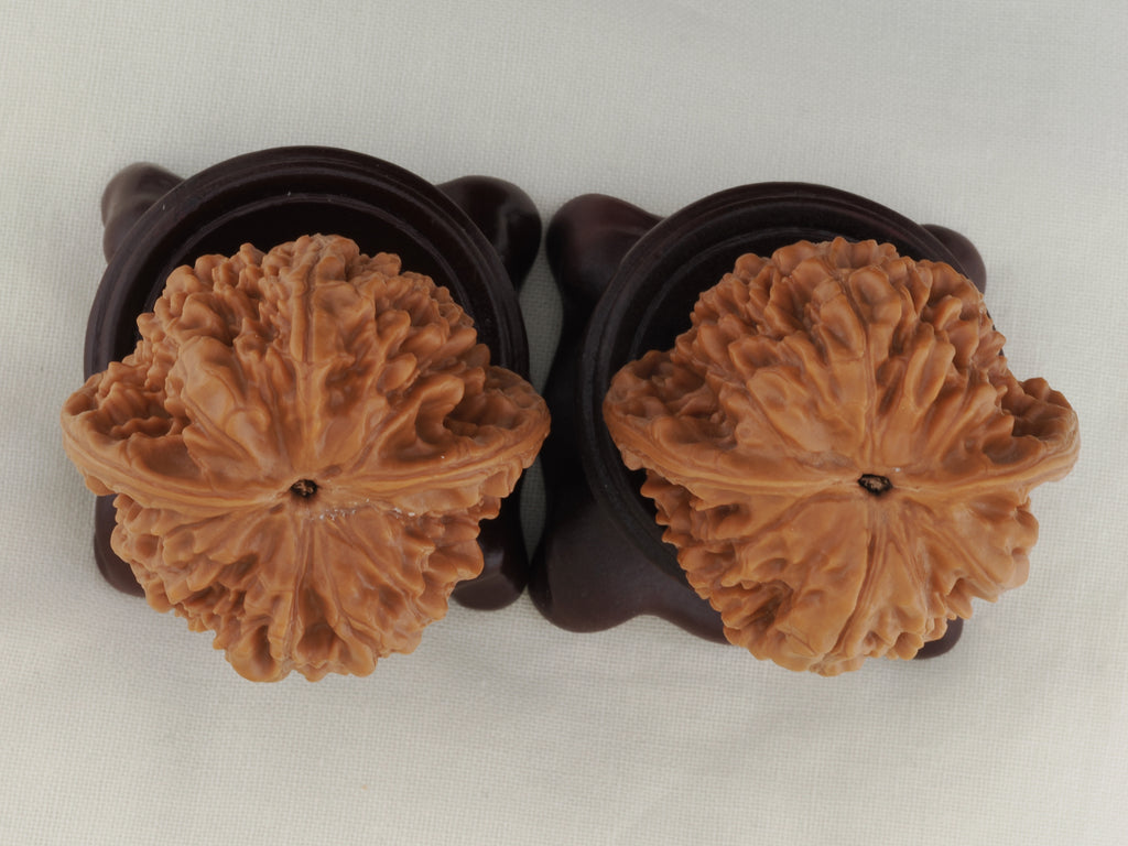 Official’s Hat walnut pair, 40 mm — WW-00008, view 6.