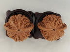 Official’s Hat walnut pair, 40 mm — WW-00008, view 6.