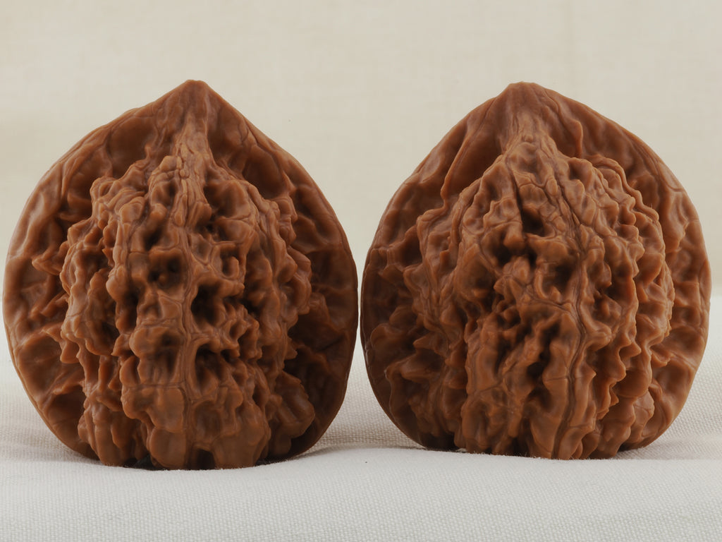 Official’s Hat walnut pair, 45 mm — WW-00009, hero view.