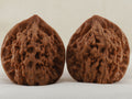 Official’s Hat walnut pair, 45 mm — WW-00009, hero view.