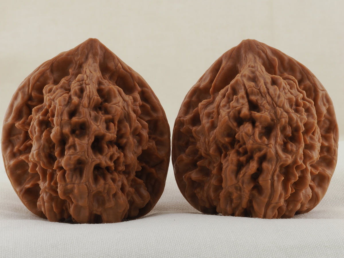 Official’s Hat walnut pair, 45 mm — WW-00009, hero view.