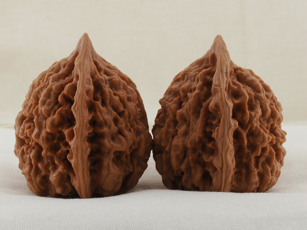 Official’s Hat walnut pair, 45 mm — WW-00009, view 2.