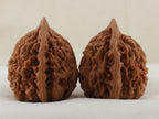 Official’s Hat walnut pair, 45 mm — WW-00009, view 2.