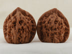 Official’s Hat walnut pair, 45 mm — WW-00009, view 3.