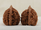 Official’s Hat walnut pair, 45 mm — WW-00009, view 4.
