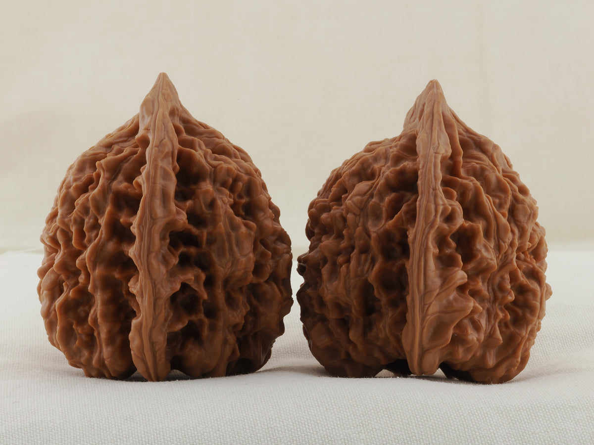 Official’s Hat walnut pair, 45 mm — WW-00009, view 4.