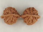 Official’s Hat walnut pair, 45 mm — WW-00009, view 5.