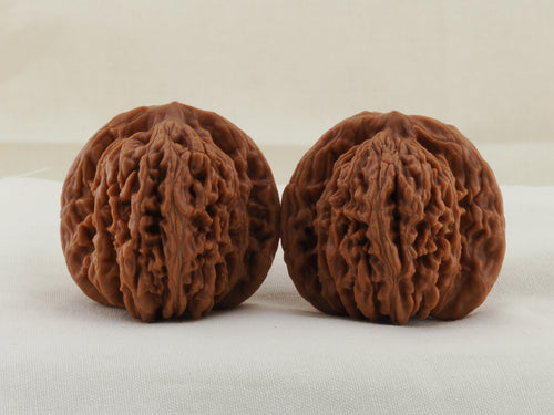 Four Towers walnut pair, 42 mm — WW-00010, hero view.