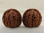 Four Towers walnut pair, 42 mm — WW-00010, view 3.