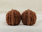 Four Towers walnut pair, 42 mm — WW-00010, view 4.
