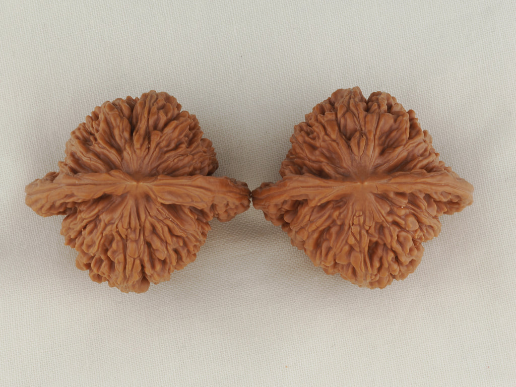 Four Towers walnut pair, 42 mm — WW-00010, view 5.