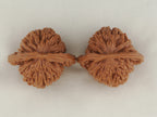 Four Towers walnut pair, 42 mm — WW-00010, view 5.