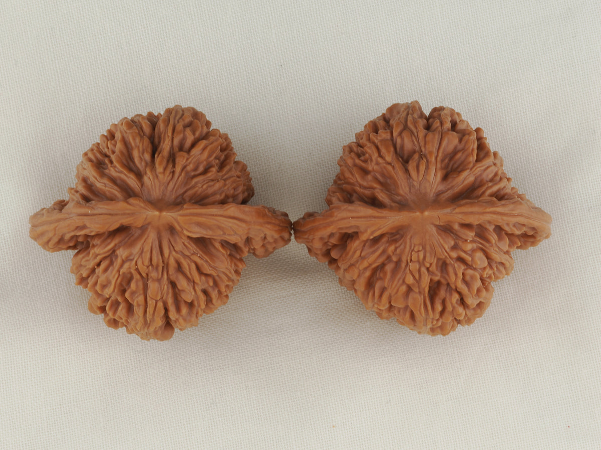 Four Towers walnut pair, 42 mm — WW-00010, view 5.