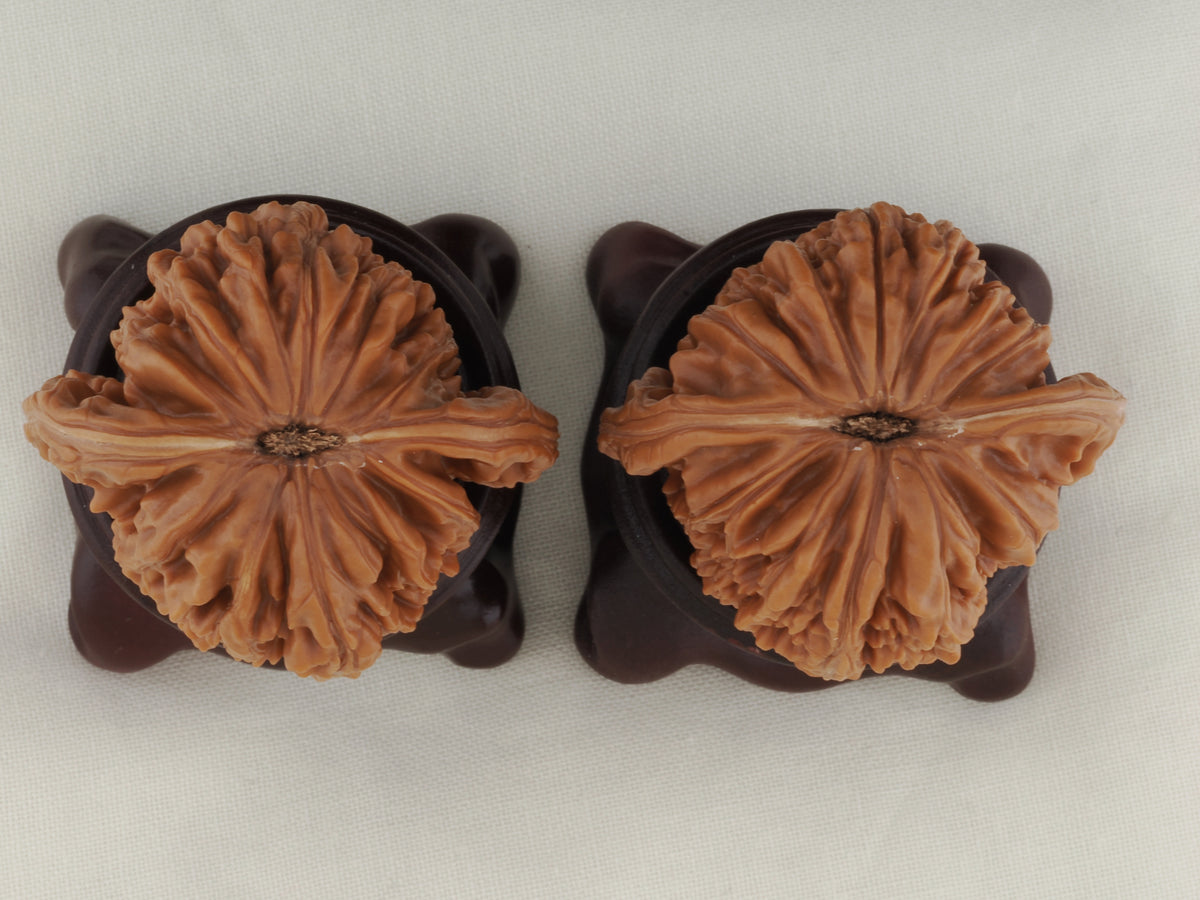 Four Towers walnut pair, 42 mm — WW-00010, view 6.