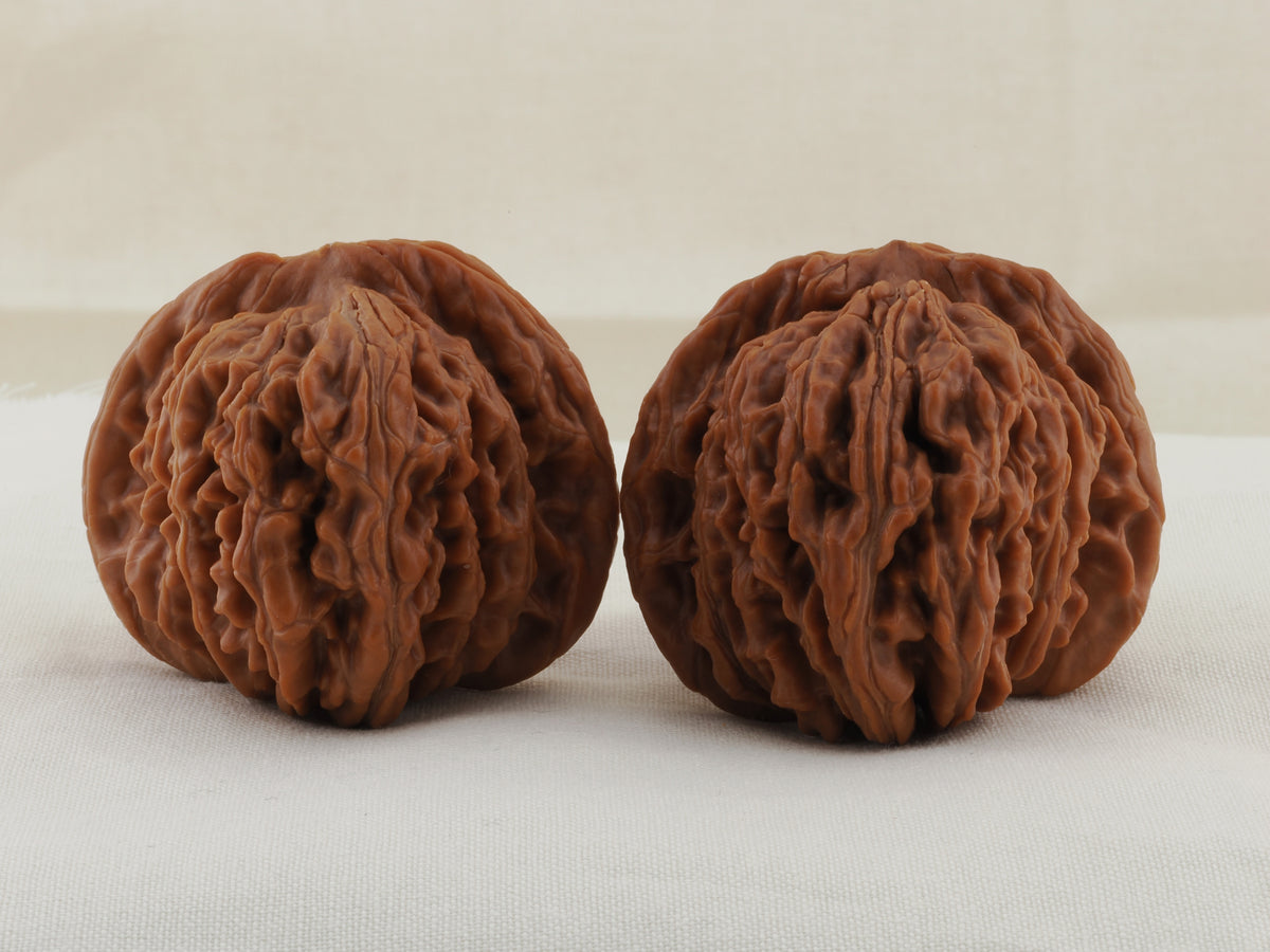 Four Towers walnut pair, 43 mm — WW-00011, hero view.