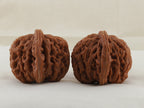Four Towers walnut pair, 43 mm — WW-00011, view 2.