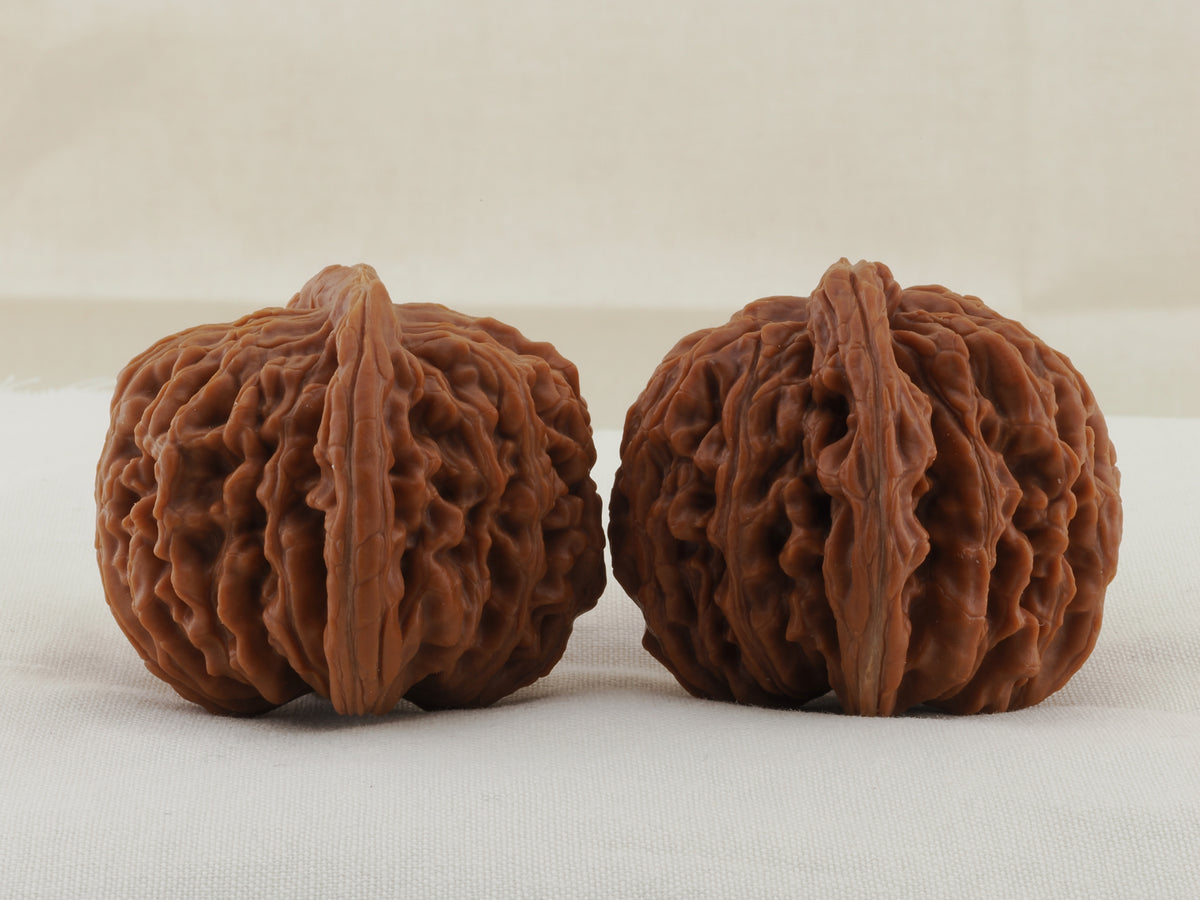 Four Towers walnut pair, 43 mm — WW-00011, view 4.