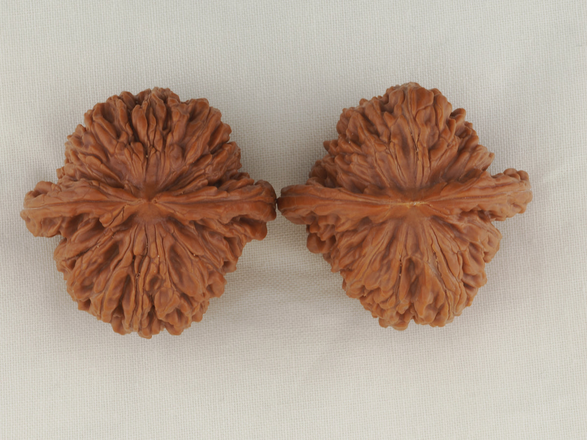 Four Towers walnut pair, 43 mm — WW-00011, view 5.