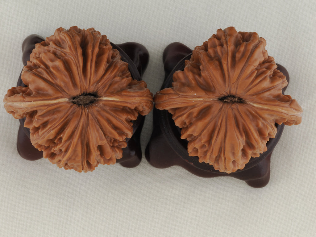 Four Towers walnut pair, 43 mm — WW-00011, view 6.