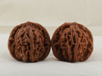Four Towers walnut pair, 42 mm — WW-00012, view 3.