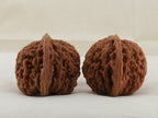 Four Towers walnut pair, 42 mm — WW-00012, view 4.