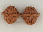 Four Towers walnut pair, 42 mm — WW-00012, view 5.