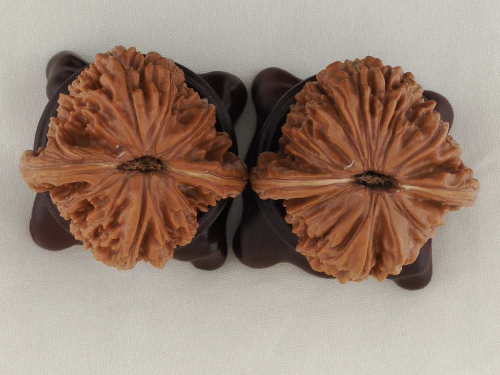 Four Towers walnut pair, 42 mm — WW-00012, view 6.