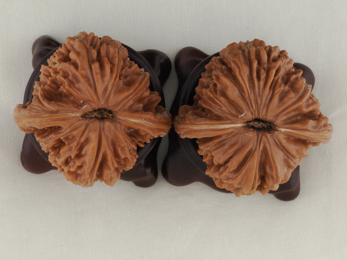 Four Towers walnut pair, 42 mm — WW-00012, view 6.