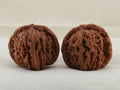 Four Towers walnut pair, 42 mm — WW-00013, hero view.