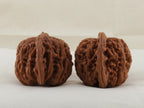 Four Towers walnut pair, 42 mm — WW-00013, view 2.
