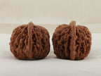 Four Towers walnut pair, 42 mm — WW-00013, view 4.