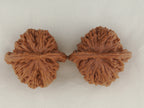 Four Towers walnut pair, 42 mm — WW-00013, view 5.
