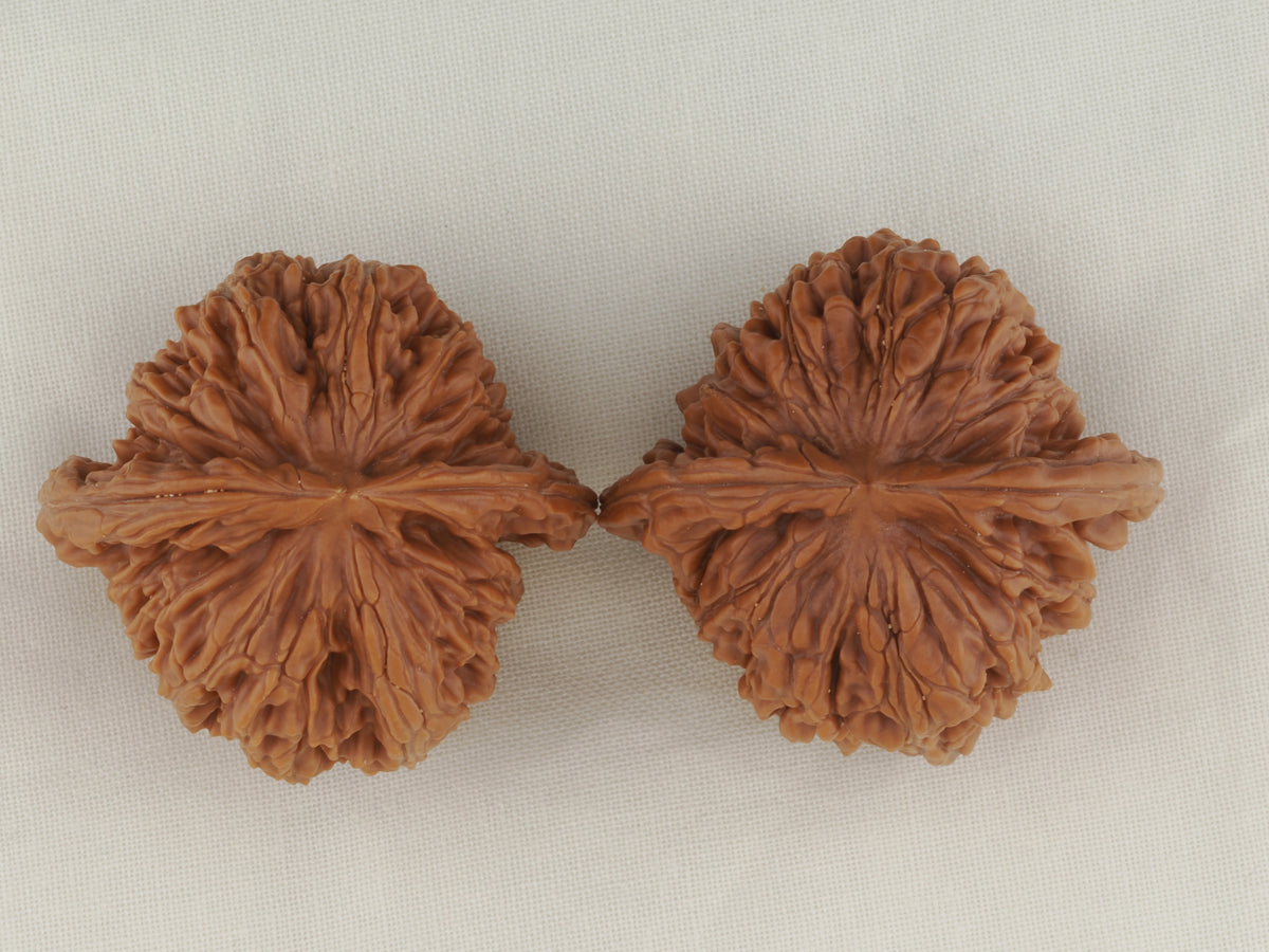 Four Towers walnut pair, 42 mm — WW-00013, view 5.