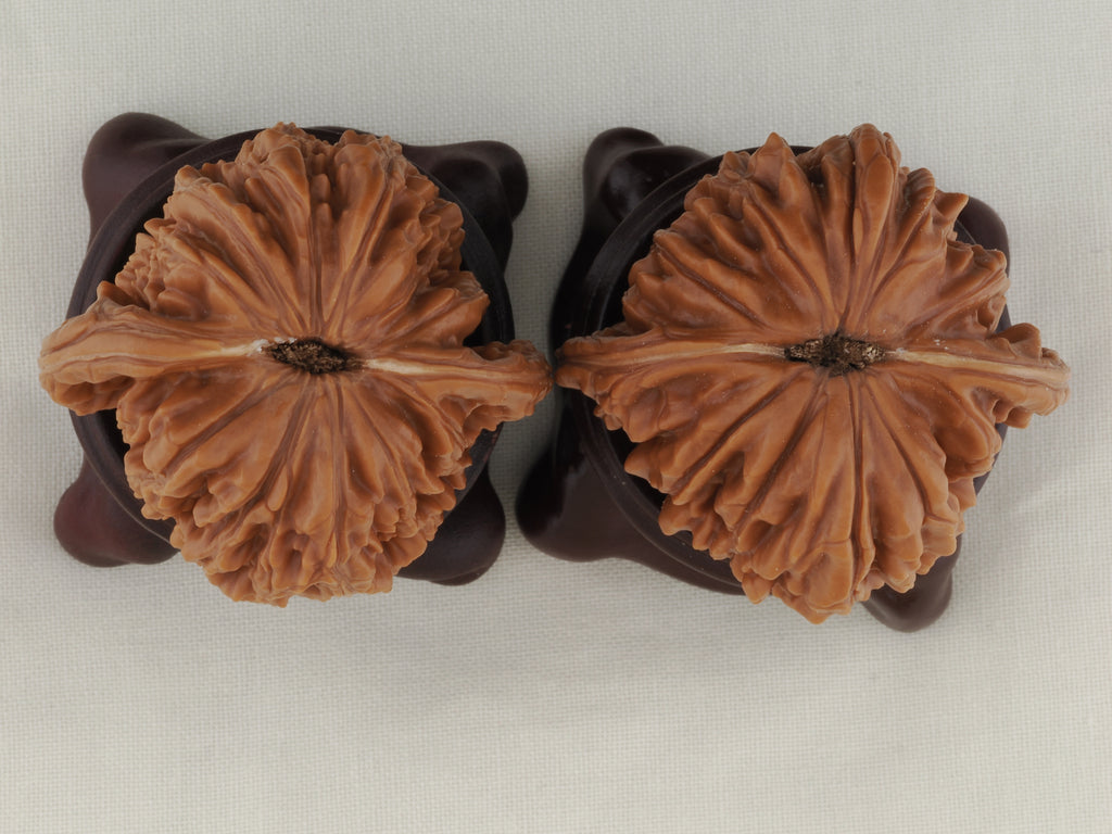 Four Towers walnut pair, 42 mm — WW-00013, view 6.