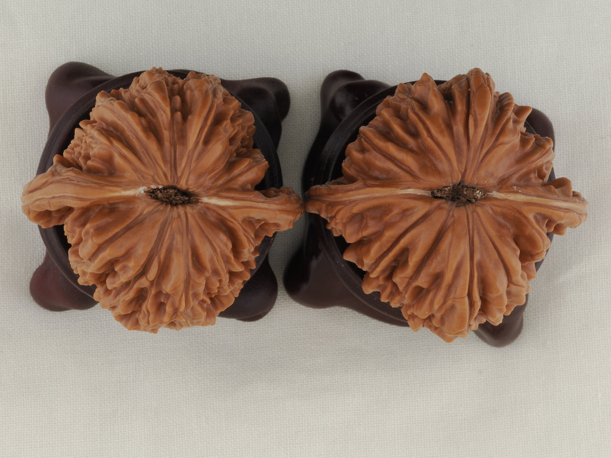 Four Towers walnut pair, 42 mm — WW-00013, view 6.