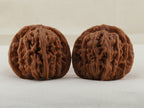 Four Towers walnut pair, 42 mm — WW-00014, hero view.