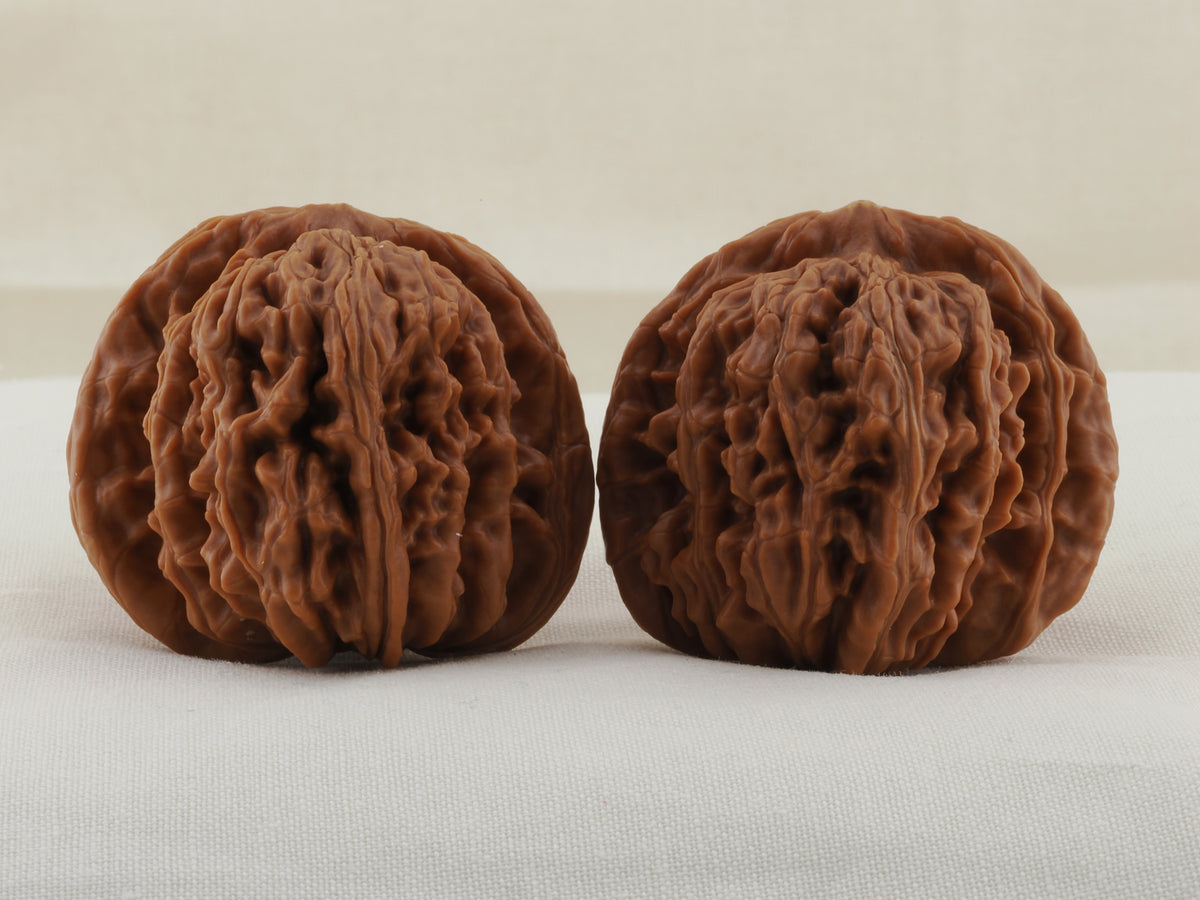 Four Towers walnut pair, 42 mm — WW-00014, hero view.
